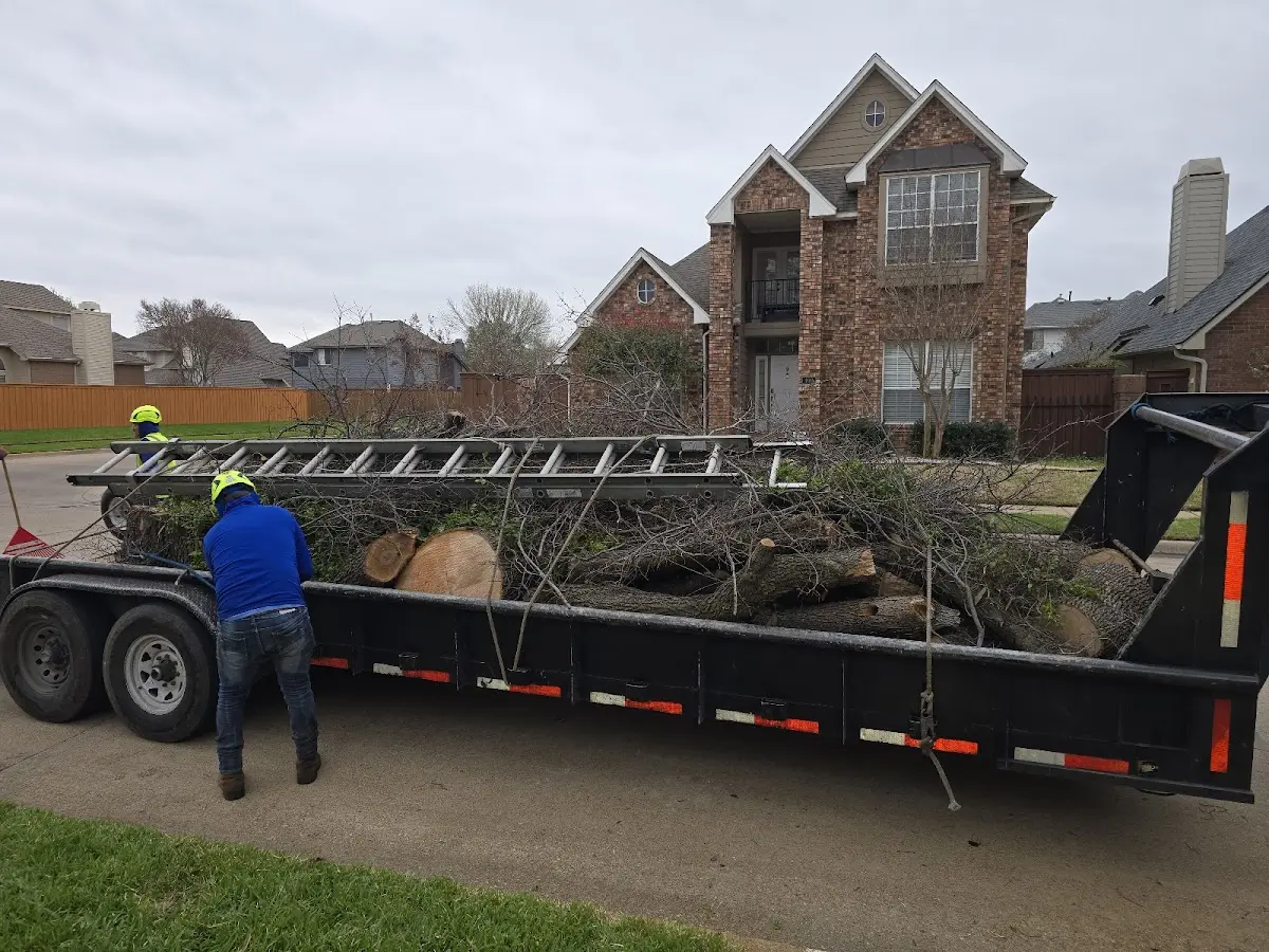 Expert Lot Clearing with proper safety equipment in Saint David